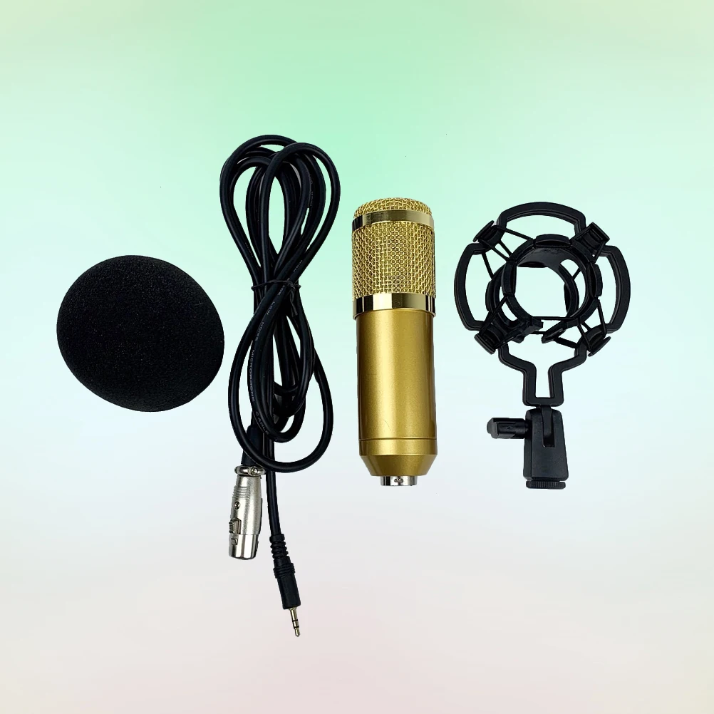 Capacitor Microphone Double-layer Mesh BM-800 Studio Conference Large-diaphragm Gold-coated Sound Head XLR Connector
Capacitor Microphone Double-layer Mesh BM-800 Studio Conference Large-diaphragm Gold-coated Sound Head XLR Connector