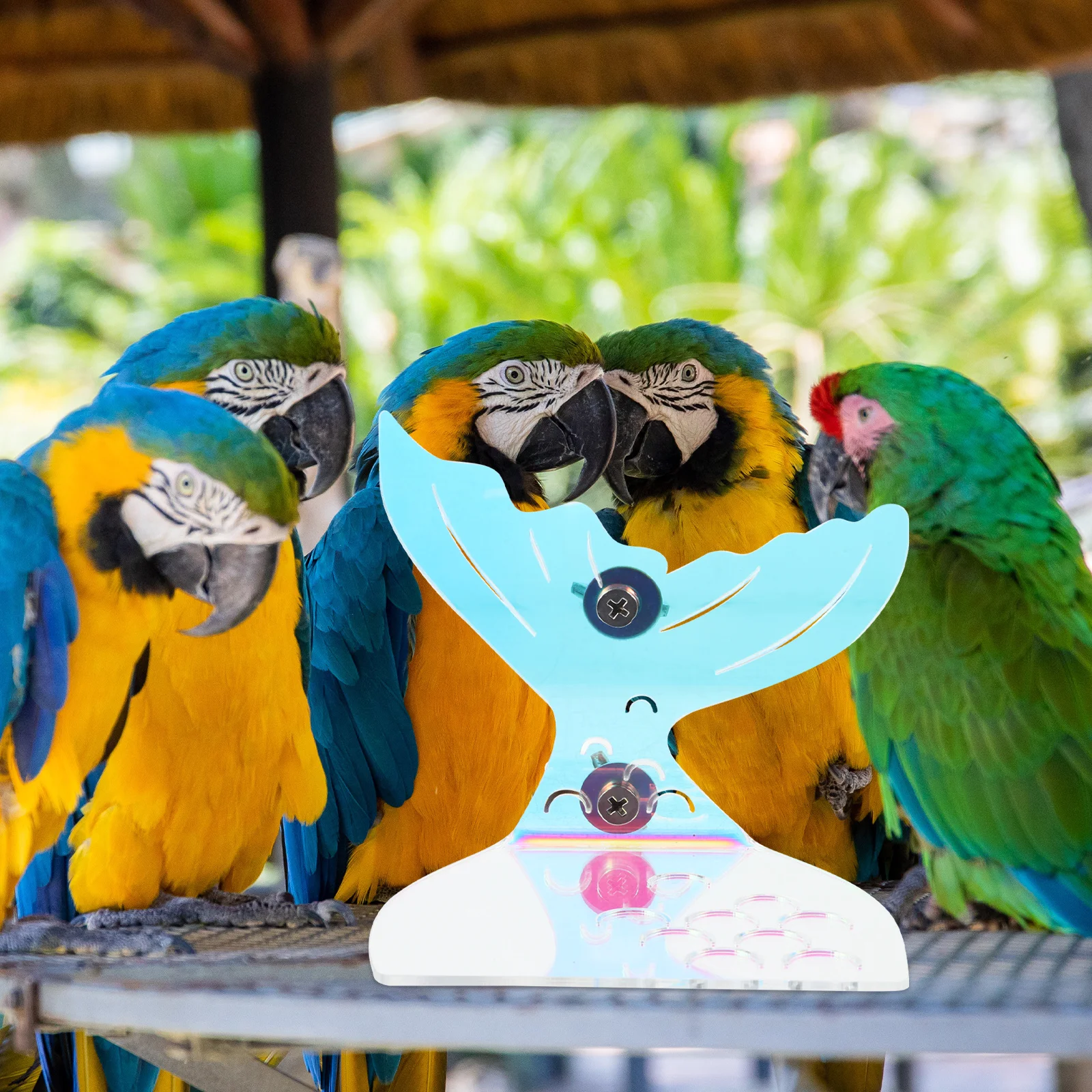 Parrot Perch Stand Acrylic Mermaid Tail Platform Stable Bird Cage Accessory Parrot Exercise Climbing Perch Bird Platform
Parrot Perch Stand Acrylic Mermaid Tail Platform Stable Bird Cage Accessory Parrot Exercise Climbing Perch Bird Platform