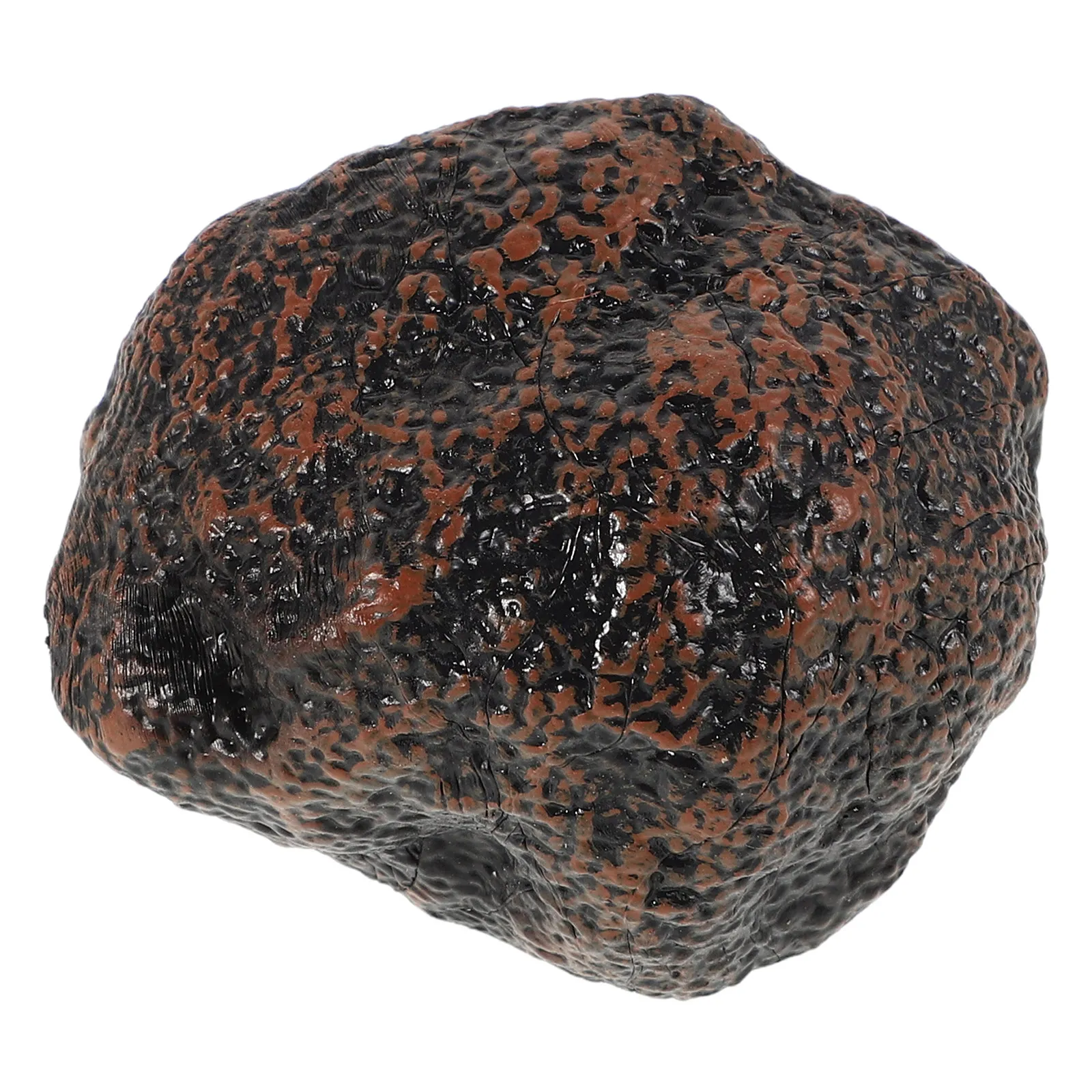 Black Truffle Simulation Kitchen Accessory for Kids Early Education Vegetable Learning Tool Imaginative Play Preschool Role
Black Truffle Simulation Kitchen Accessory for Kids Early Education Vegetable Learning Tool Imaginative Play Preschool Role