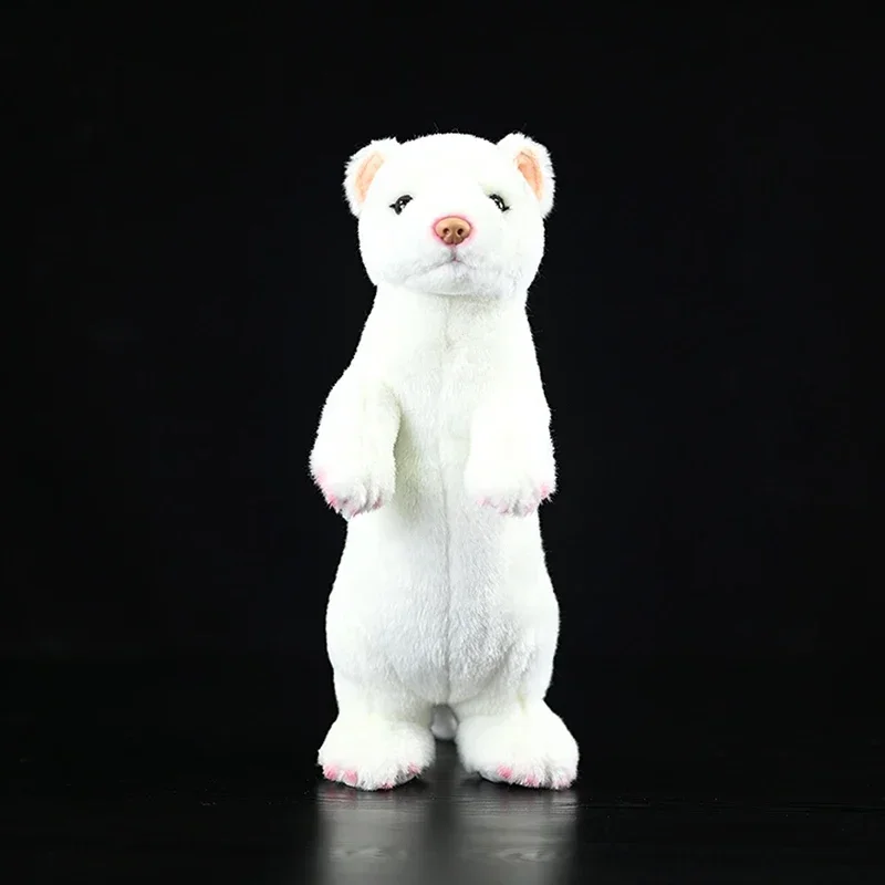 32 см Stoat плюшевая игрушка высокого качества Ermine Animals мягкая короткохвостая ласка плюшевая имитация Mustela Erminea реалистичная кукла подарок
32 см Stoat плюшевая игрушка высокого качества Ermine Animals мягкая короткохвостая ласка плюшевая имитация Mustela Erminea реалистичная кукла подарок