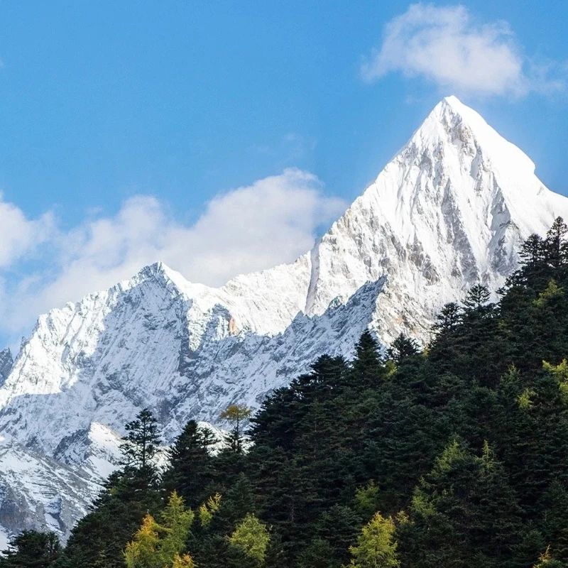 GEPRC SPEEDX2 3214 Motor - 860KV 6S N52H 9 - 10inch FPV Long Range RC DIY Parts
GEPRC SPEEDX2 3214 Motor - 860KV 6S N52H 9 - 10inch FPV Long Range RC DIY Parts