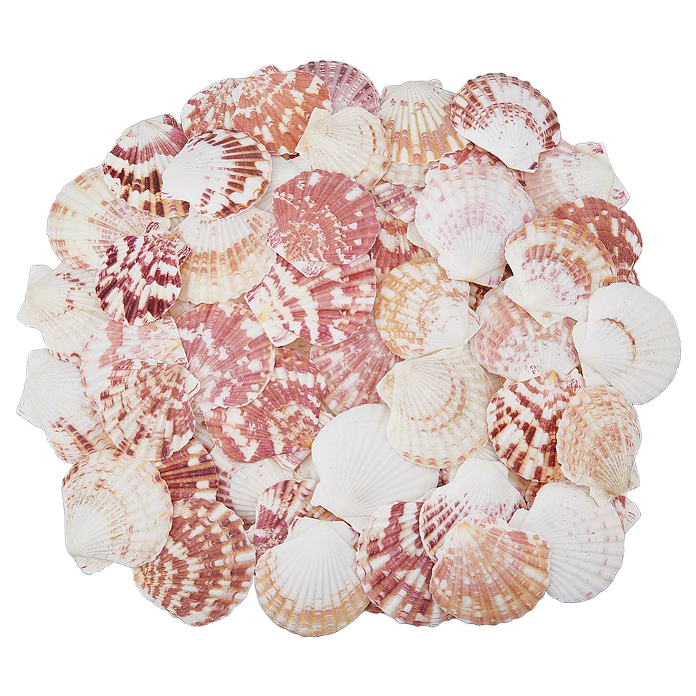 500G Shell Ornaments Shell Shape Micro Landscape Fish Decoration Mixed Color 45~55x47~56.5x6.5mm 99pcs/500g
500G Shell Ornaments Shell Shape Micro Landscape Fish Decoration Mixed Color 45~55x47~56.5x6.5mm 99pcs/500g