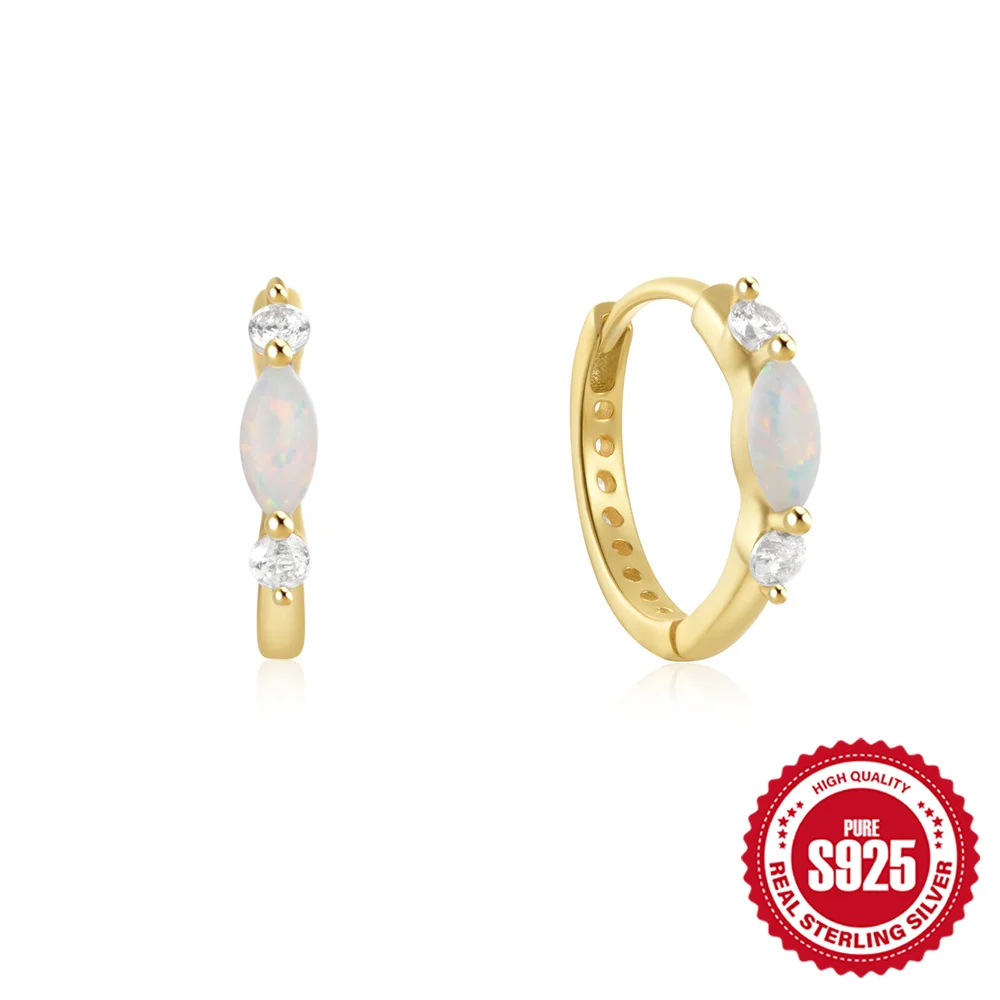 CANNER 925 Sterling Silver Classic Hoop Earrings for Women 18K Gold Round Circle Earring Zircon Piercing Earings Fine Jewelry
CANNER 925 Sterling Silver Classic Hoop Earrings for Women 18K Gold Round Circle Earring Zircon Piercing Earings Fine Jewelry