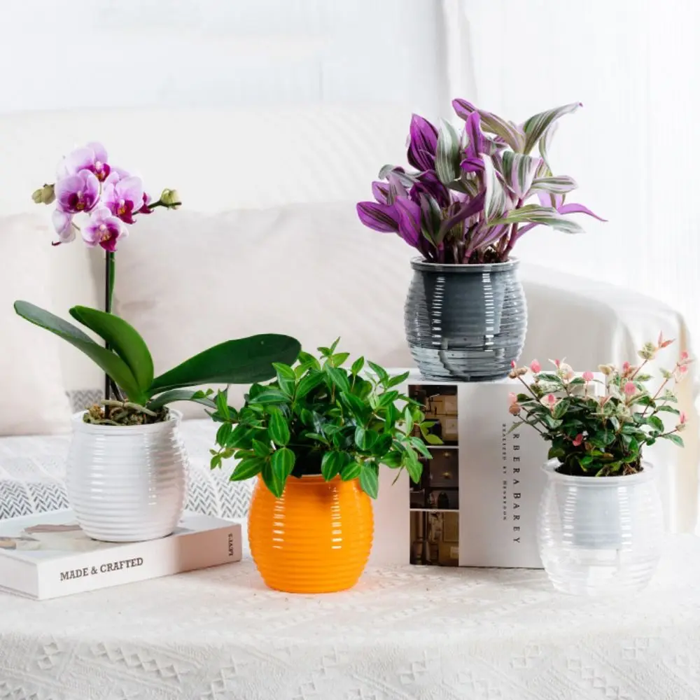 Automatic Water-Absorbing Self-Watering Plant Pots Transparent Plastic Desktop Flower Pot Home Decorations Durable Flower Vase
Automatic Water-Absorbing Self-Watering Plant Pots Transparent Plastic Desktop Flower Pot Home Decorations Durable Flower Vase