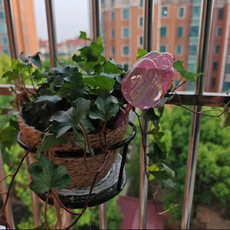 Pink Tulip Plant Watering Balls, Suitable for Indoor and Outdoor Plants, Automatic Plant Drippers, and Automatic Watering
Pink Tulip Plant Watering Balls, Suitable for Indoor and Outdoor Plants, Automatic Plant Drippers, and Automatic Watering