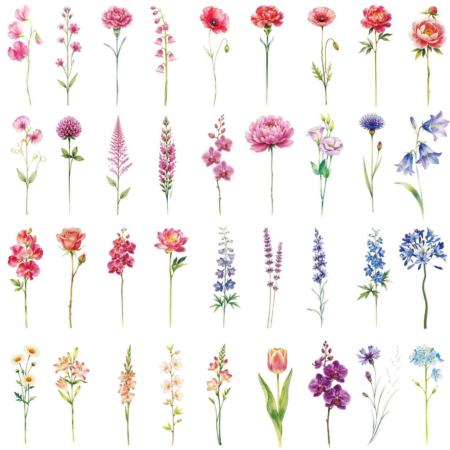 12 Sheets Watercolor Flower Lavender Temporary Tattoos For Women Adults, Water Color Tiny Wild Floral Tattoo Sticker, Fake Tatto
12 Sheets Watercolor Flower Lavender Temporary Tattoos For Women Adults, Water Color Tiny Wild Floral Tattoo Sticker, Fake Tatto