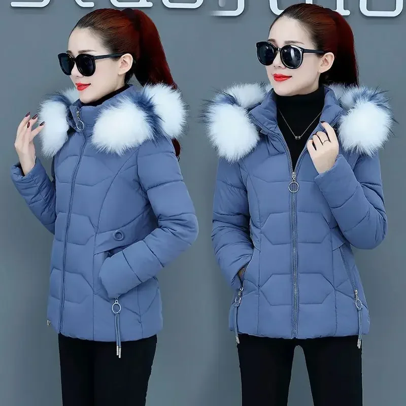 New Korean Fashion Parkas Hooded Short Fur Collar Coat Warm Winter Coat Women Women's Winter Jacket Padding Down Cotton Jacket
New Korean Fashion Parkas Hooded Short Fur Collar Coat Warm Winter Coat Women Women's Winter Jacket Padding Down Cotton Jacket
