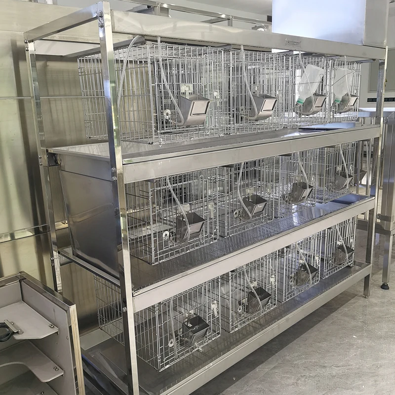 Клетка для лабораторного оборудования для животных, сухая клетка для разведения кроликов из нержавеющей стали
Клетка для лабораторного оборудования для животных, сухая клетка для разведения кроликов из нержавеющей стали