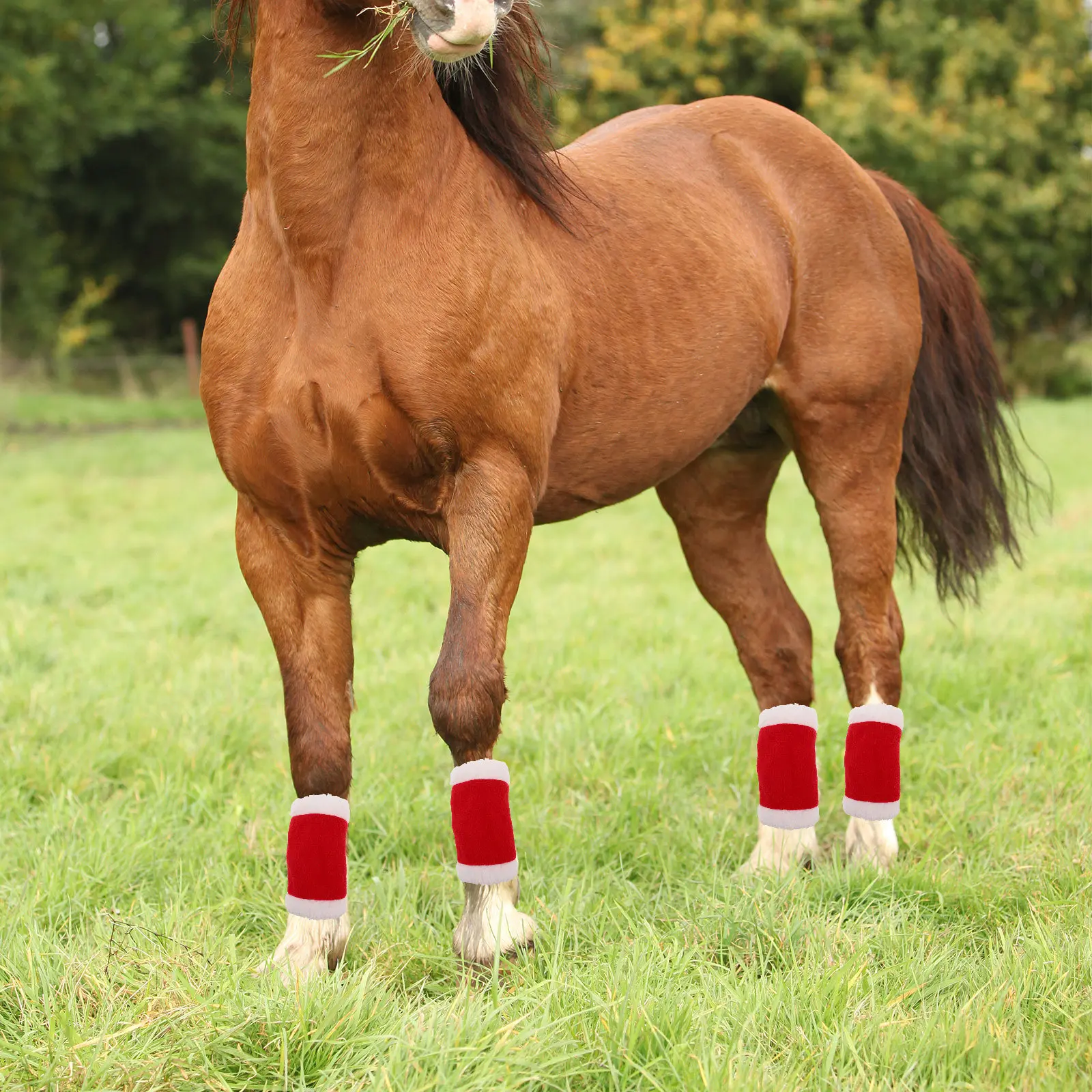 1Set Christmas Horse Decoration Set Santa Hat Leg Wraps Holiday Parade Party Supplies Christmas Horse Costume Accessories
1Set Christmas Horse Decoration Set Santa Hat Leg Wraps Holiday Parade Party Supplies Christmas Horse Costume Accessories