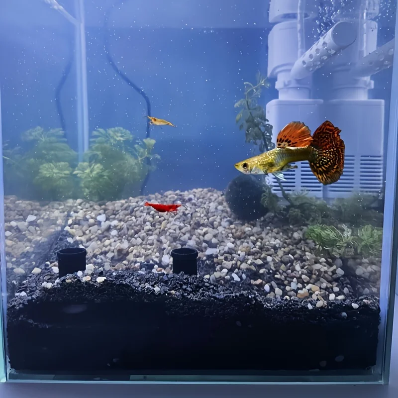 Small Fish and Shrimp Home Aquarium Decoration Protected from Big Fish Attacks 3D PLA Environmentally friendly Material Printing
Small Fish and Shrimp Home Aquarium Decoration Protected from Big Fish Attacks 3D PLA Environmentally friendly Material Printing
