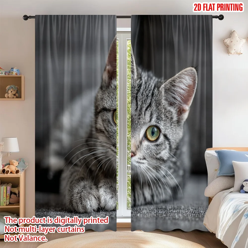 2D flat printing 2pcs Curtain Curtain Cute Grey Tabby Cat Digital Printed Polyester Drapes Party Decorations Use for Art Party
2D flat printing 2pcs Curtain Curtain Cute Grey Tabby Cat Digital Printed Polyester Drapes Party Decorations Use for Art Party