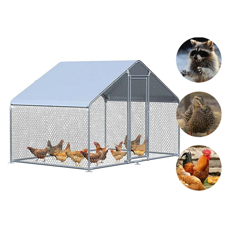 Manufacturer Prefabricated Chicken Coop Easy Pet Cages Metal Chicken Run Coop for Sale Online
Manufacturer Prefabricated Chicken Coop Easy Pet Cages Metal Chicken Run Coop for Sale Online