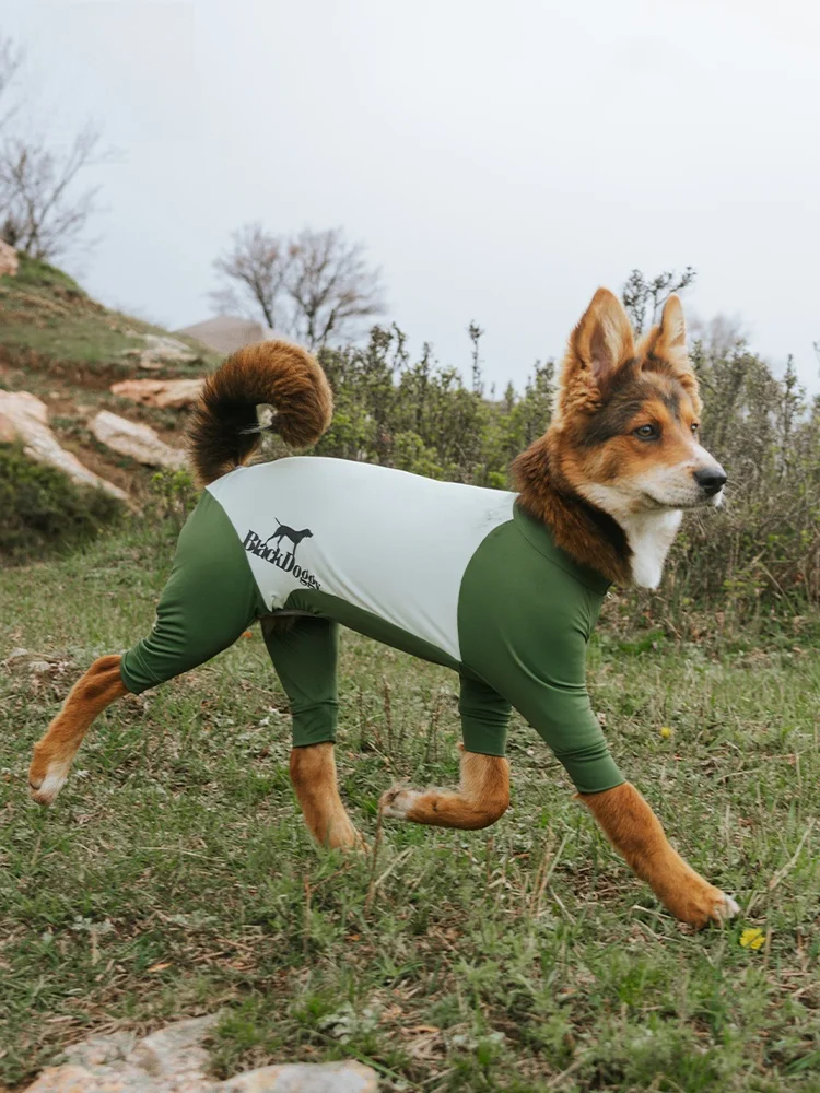 BlackDoggy Outdoor Sun Protection Four-Legged Pet Clothing Elastic Bug-Resistant Waterproof Dog Coat for Dogs And Cats
BlackDoggy Outdoor Sun Protection Four-Legged Pet Clothing Elastic Bug-Resistant Waterproof Dog Coat for Dogs And Cats