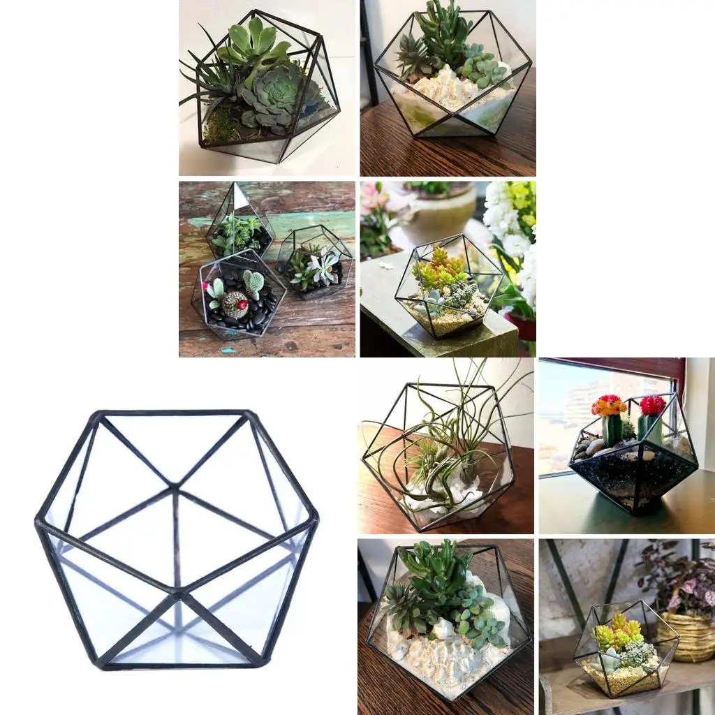 Retro Geometric Terrarium Decorative Jewelry Chest Window Box Storage Display
Retro Geometric Terrarium Decorative Jewelry Chest Window Box Storage Display