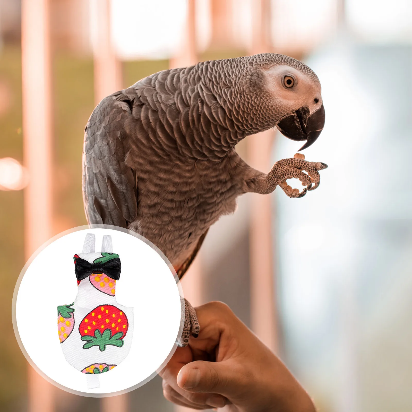 Stylish Parrot Diaper Reusable Comfortable Fit Easy to Put on Change Pads Quickly Pet Bird Clothes Fashion Costume
Stylish Parrot Diaper Reusable Comfortable Fit Easy to Put on Change Pads Quickly Pet Bird Clothes Fashion Costume