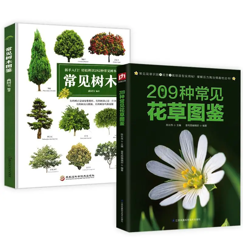 Common Flowers and Trees Quick Reference Illustrated Book / Illustrated Book of Flowers and Plants In Four Seasons
Common Flowers and Trees Quick Reference Illustrated Book / Illustrated Book of Flowers and Plants In Four Seasons