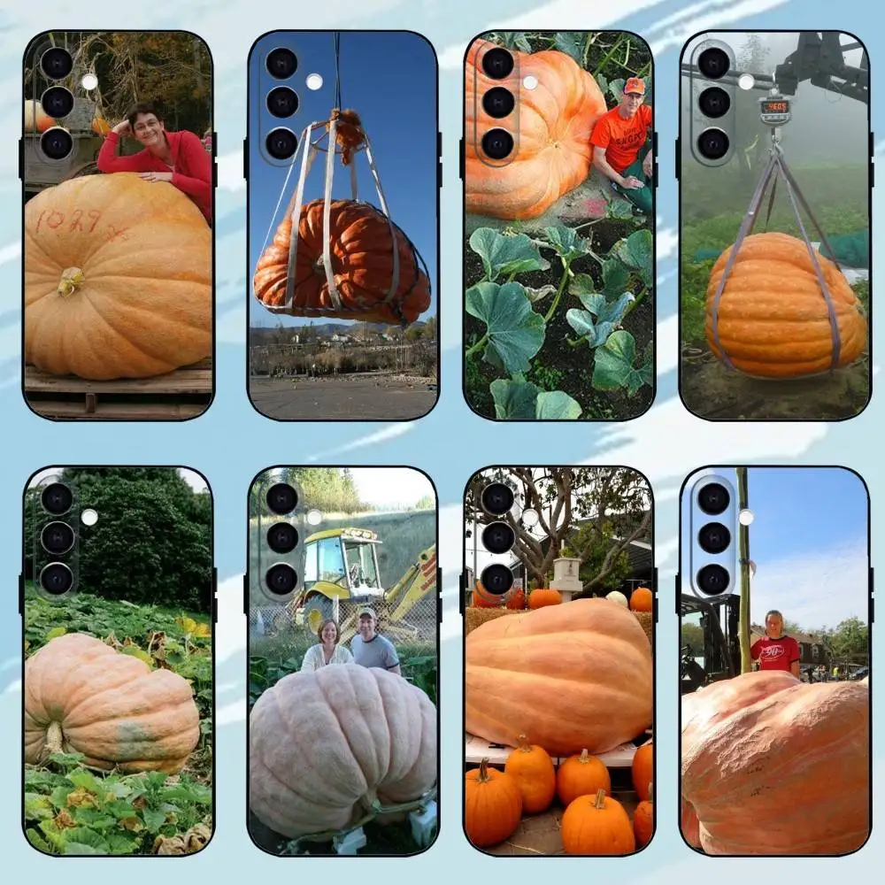 Giant Pumpkin Black Shell Phone Case For Samsung Galaxy A73,A72,A71,A70,A53,A52,A51,Others Soft Black Shell
Giant Pumpkin Black Shell Phone Case For Samsung Galaxy A73,A72,A71,A70,A53,A52,A51,Others Soft Black Shell