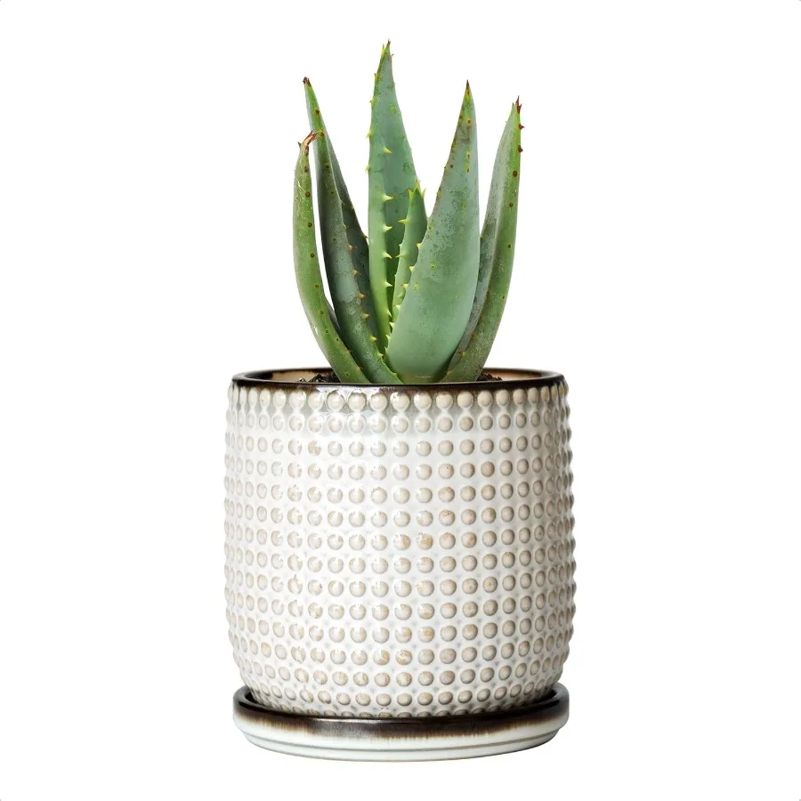 4 Inch Ceramic Beaded Stoneware Planter Pot Flower Pot with Drainage Holes and Saucers for Indoor Succulent Plants or Flowers S
4 Inch Ceramic Beaded Stoneware Planter Pot Flower Pot with Drainage Holes and Saucers for Indoor Succulent Plants or Flowers S