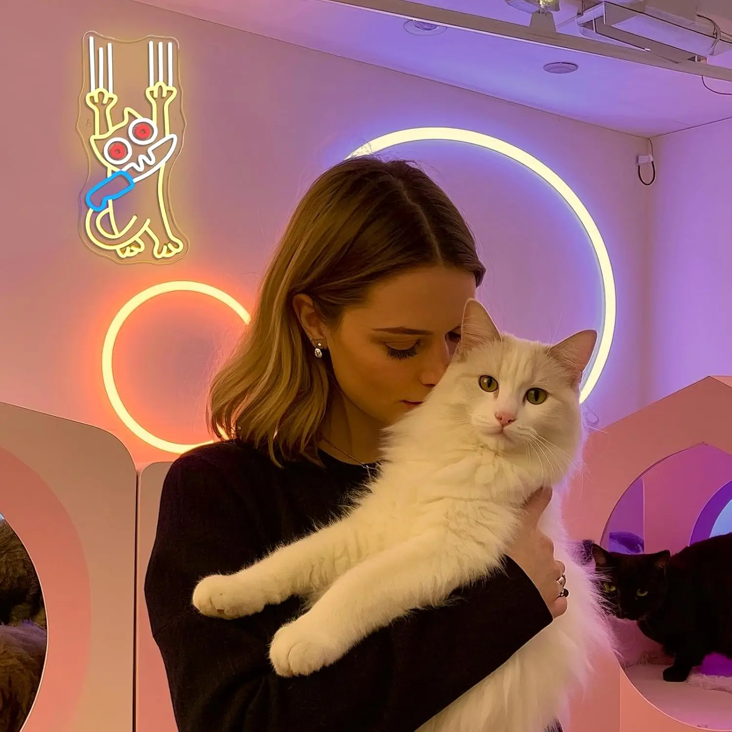 Неоновая вывеска Cat Kinfe с регулируемой яркостью, светодиодные вывески с милым котом для декора стен, светодиодная неоновая вывеска с питанием от USB для животных, для спальни, кофе, ресторана
Неоновая вывеска Cat Kinfe с регулируемой яркостью, светодиодные вывески с милым котом для декора стен, светодиодная неоновая вывеска с питанием от USB для животных, для спальни, кофе, ресторана