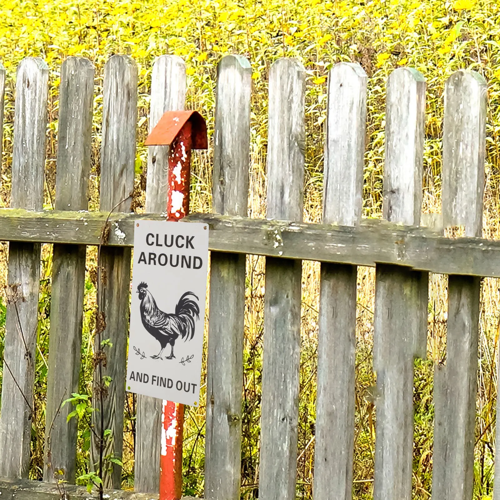 Funny Chicken Coop Metal Sign Rustic Around and Find Out Farmhouse Garden Chicken Coop Decor Metal Wall Art Kitchen Wall Decor
Funny Chicken Coop Metal Sign Rustic Around and Find Out Farmhouse Garden Chicken Coop Decor Metal Wall Art Kitchen Wall Decor