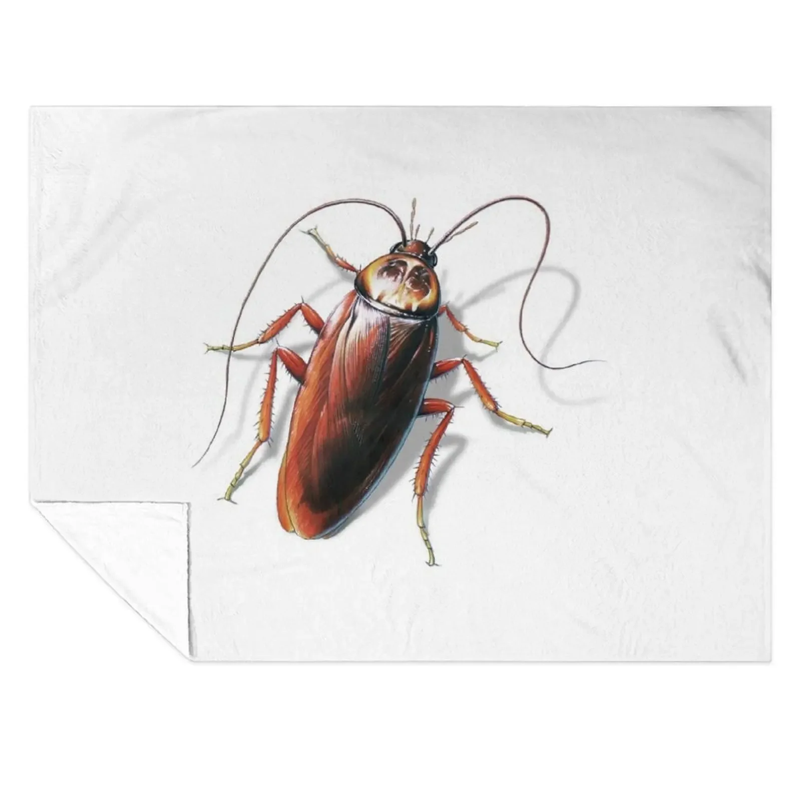 Cockroach Throw Blanket Stuffeds cosplay anime Decorative Beds Beach Blankets
Cockroach Throw Blanket Stuffeds cosplay anime Decorative Beds Beach Blankets