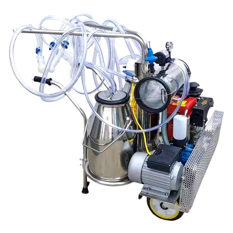 Milking machine, cow and sheep mobile stainless steel single and double barrel engine pulsating breast pump 
Milking machine, cow and sheep mobile stainless steel single and double barrel engine pulsating breast pump