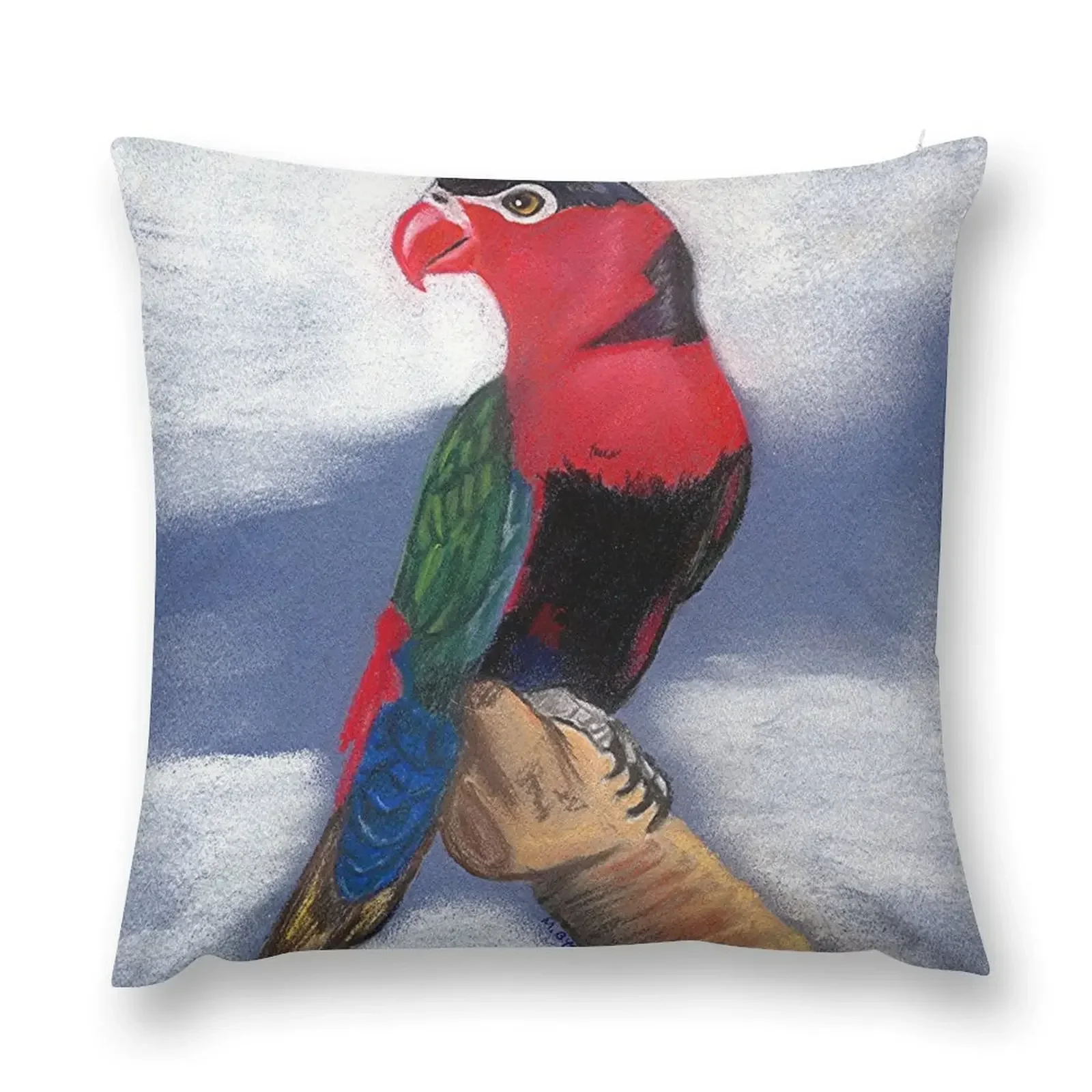 Black Capped Lory Bird Poster Print & Card Throw Pillow christmas cushions covers Pillowcase Cushion pillow
Black Capped Lory Bird Poster Print & Card Throw Pillow christmas cushions covers Pillowcase Cushion pillow