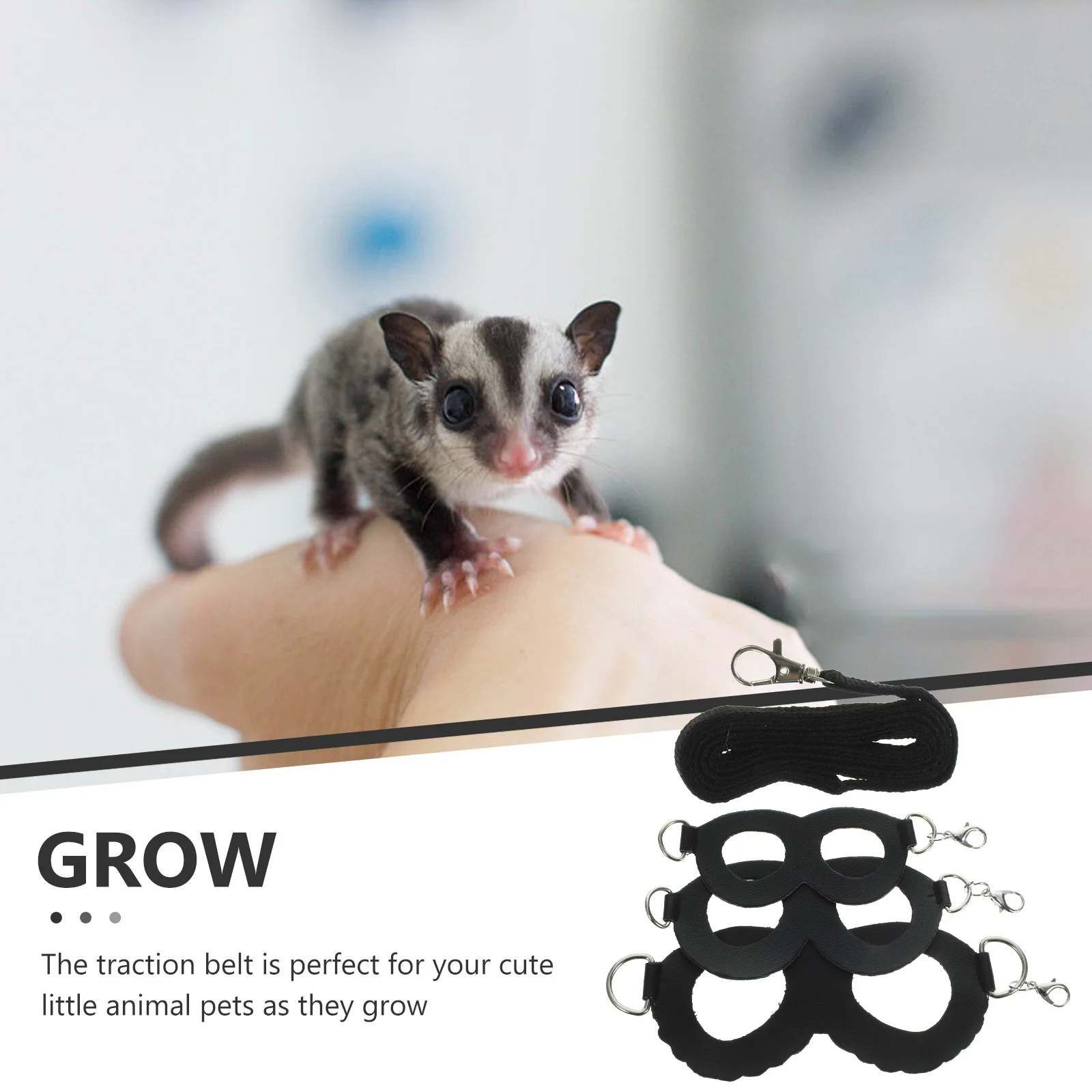 1Set Backplane Traction Rope for Sugar Glider Compact Bite-Resistant Travel-Friendly Pet Walking Leash Small Animal Harness
1Set Backplane Traction Rope for Sugar Glider Compact Bite-Resistant Travel-Friendly Pet Walking Leash Small Animal Harness