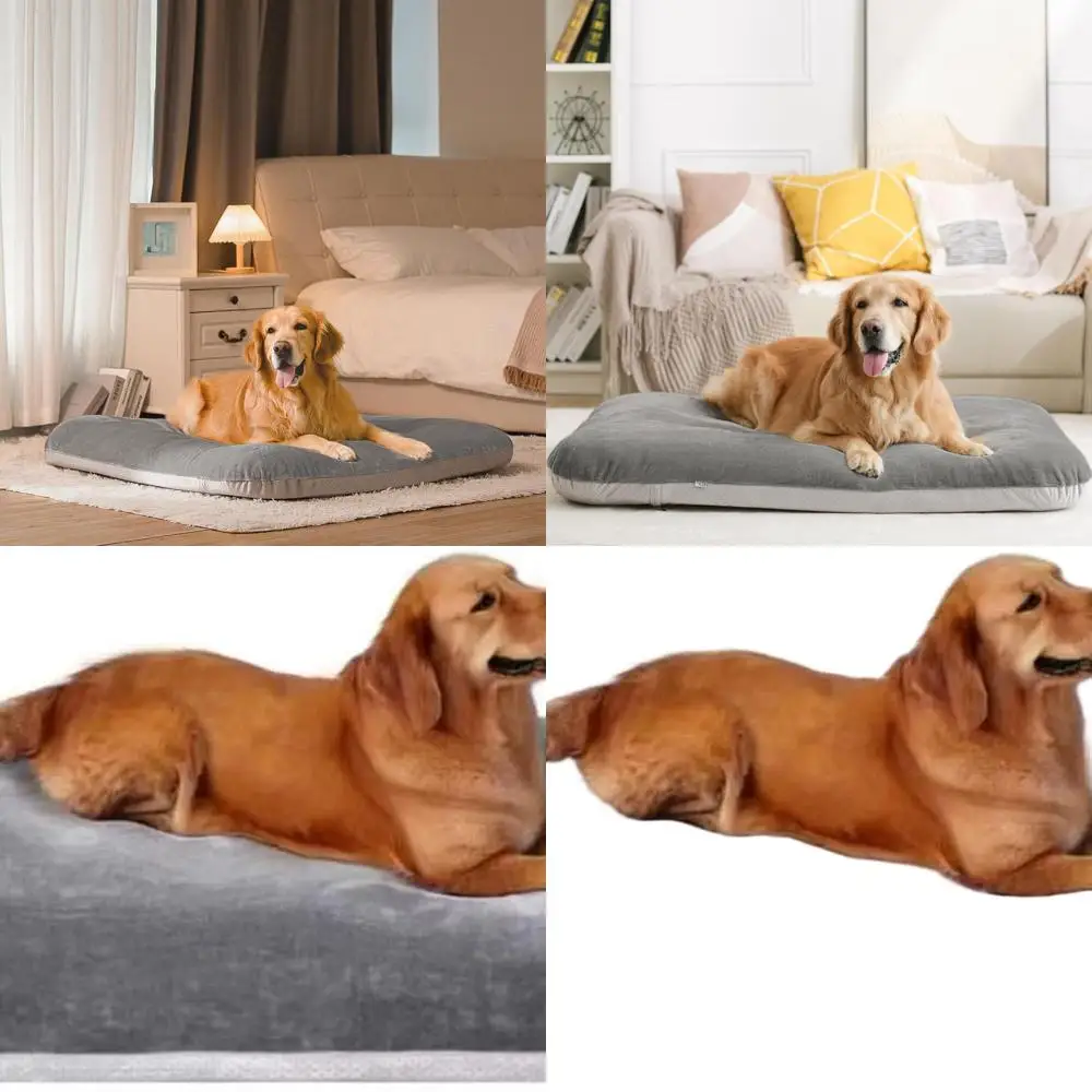 Extra Large Orthopedic Dog Bed, 47 Jumbo Mattress for 150 lbs Dogs, Anti-Slip, Removable Washable Cover
Extra Large Orthopedic Dog Bed, 47 Jumbo Mattress for 150 lbs Dogs, Anti-Slip, Removable Washable Cover