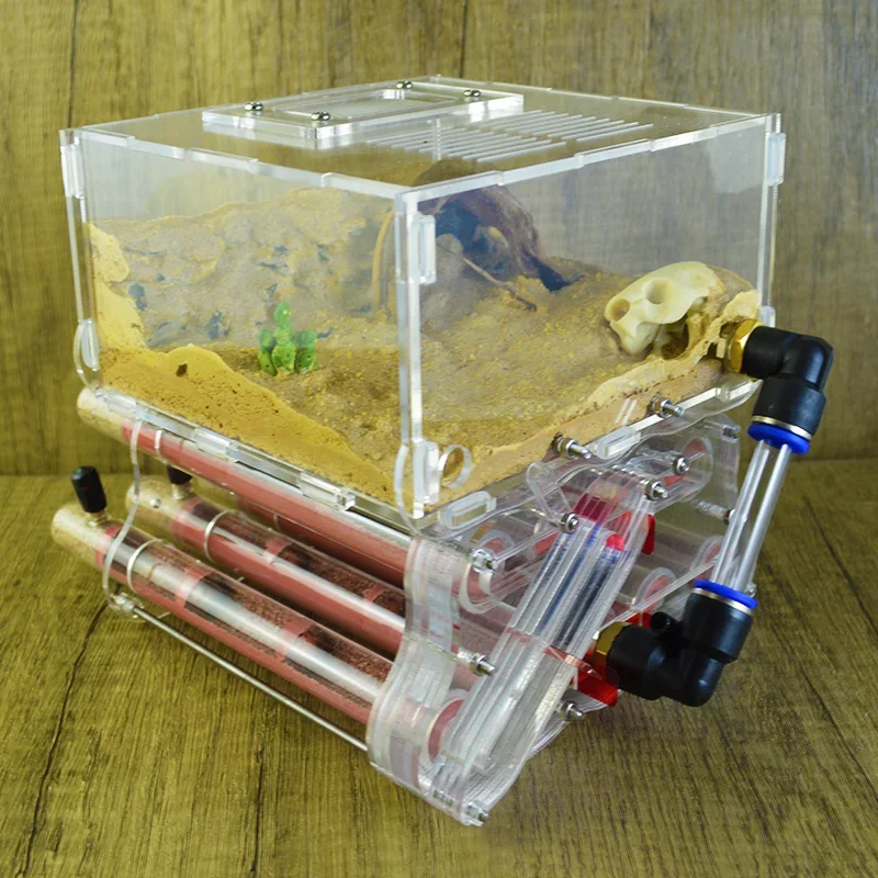Shiwang Ant House 18mm Layered Acrylic Bamboo Joint Test Tube Assembly Pet Ant Breeding Ant Nest Box Workshop
Shiwang Ant House 18mm Layered Acrylic Bamboo Joint Test Tube Assembly Pet Ant Breeding Ant Nest Box Workshop