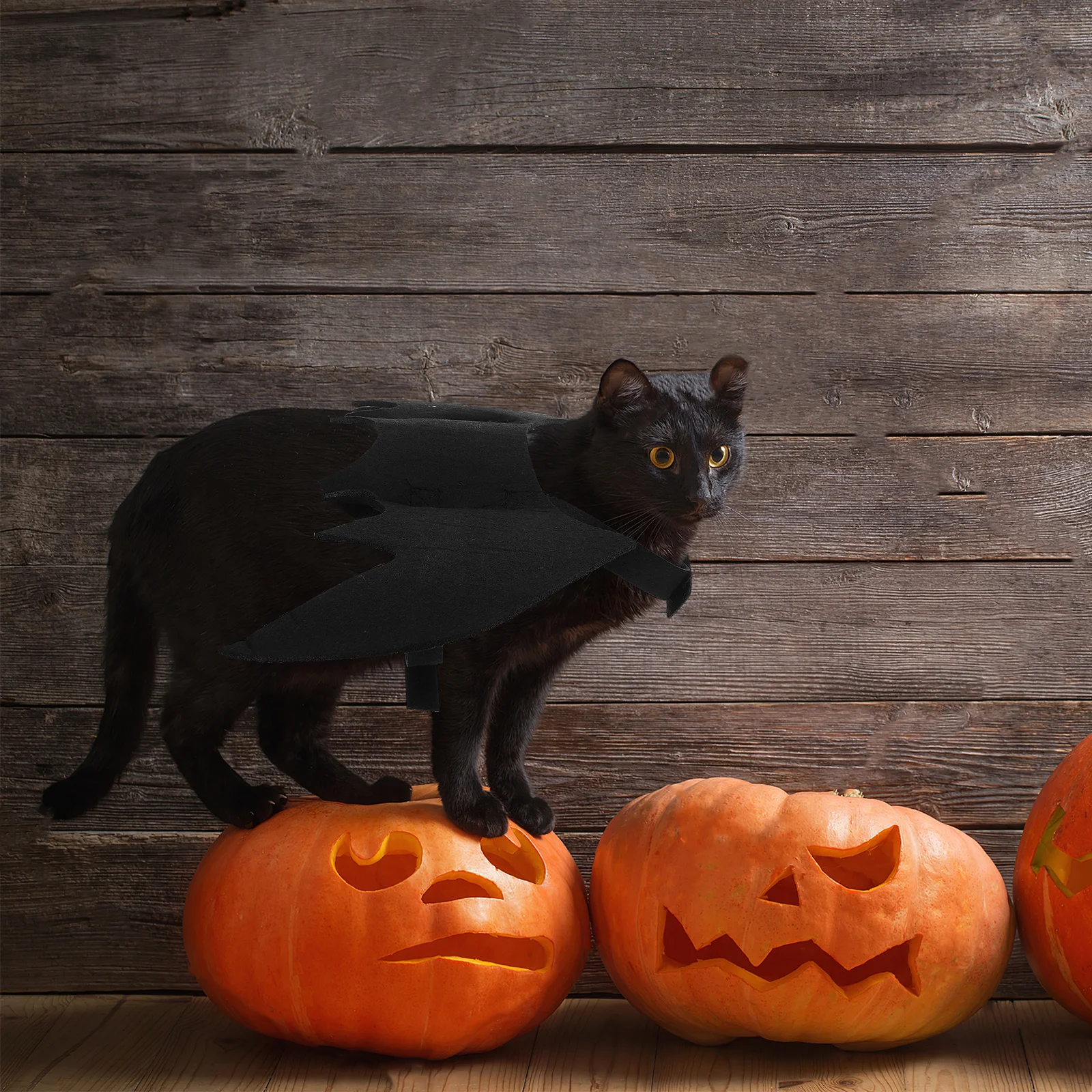 Bat Wings Costume For Cats Dogs Black Felt Pet Halloween Wing Accessory Lightweight Adjustable Durable Chest Belt Pet 
Bat Wings Costume For Cats Dogs Black Felt Pet Halloween Wing Accessory Lightweight Adjustable Durable Chest Belt Pet