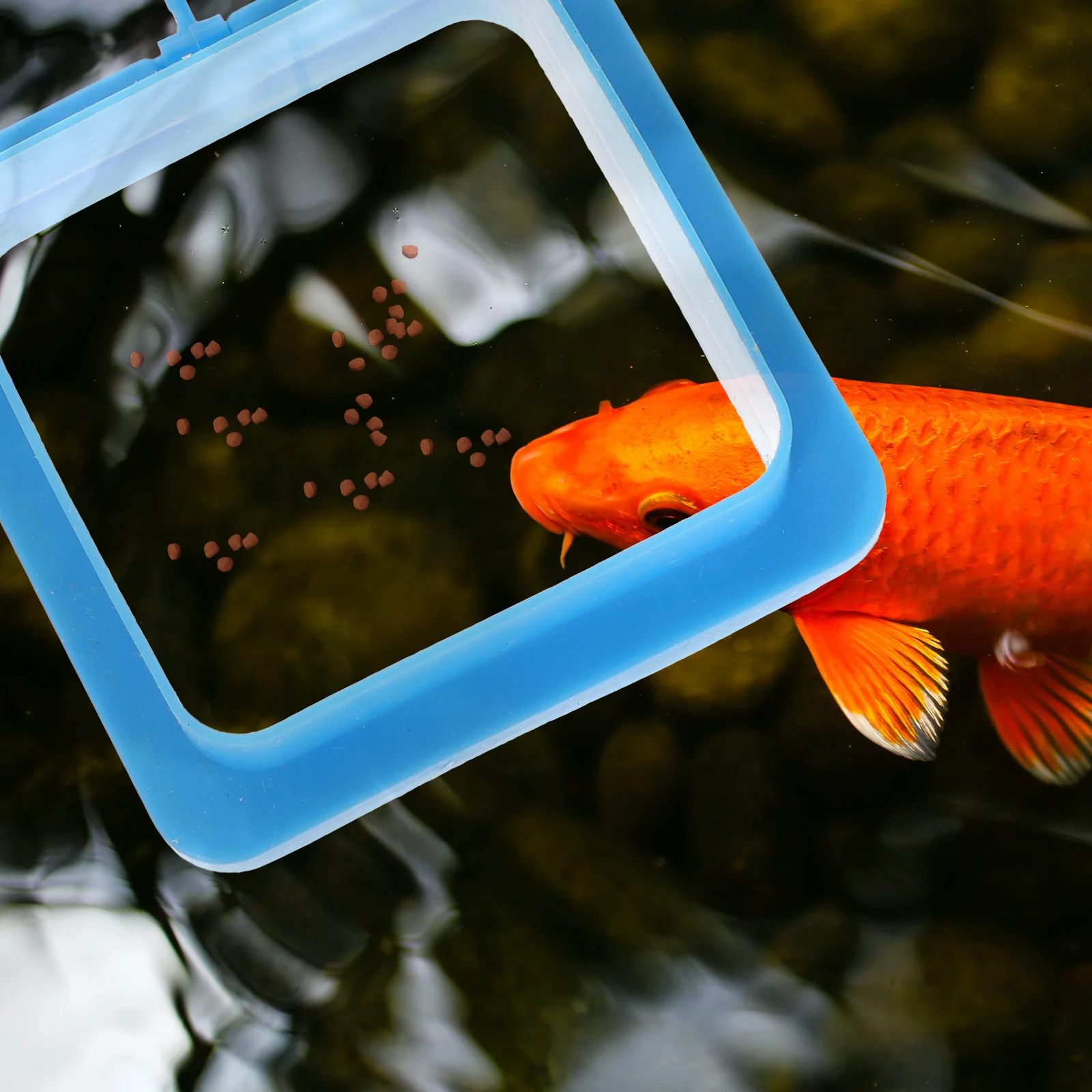 2pcs Floating Feeder Tank Aquarium Food Accessories Durable Safe Material Powerful Suction Cup Fish Tank Feeding Aquarium
2pcs Floating Feeder Tank Aquarium Food Accessories Durable Safe Material Powerful Suction Cup Fish Tank Feeding Aquarium