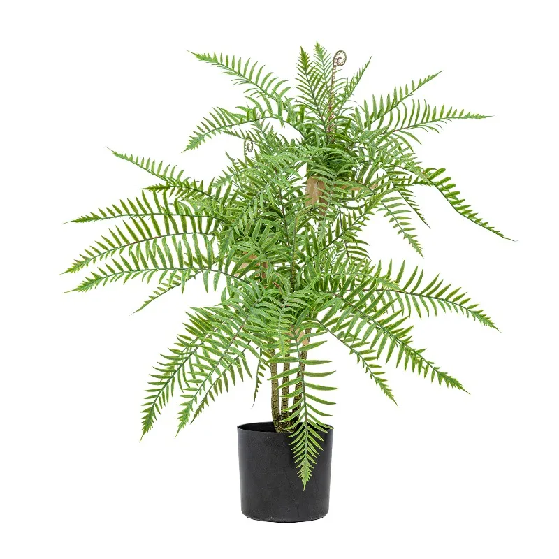 Advanced Small Potted Fern Simulation Plant Green Home Ornament
Advanced Small Potted Fern Simulation Plant Green Home Ornament
