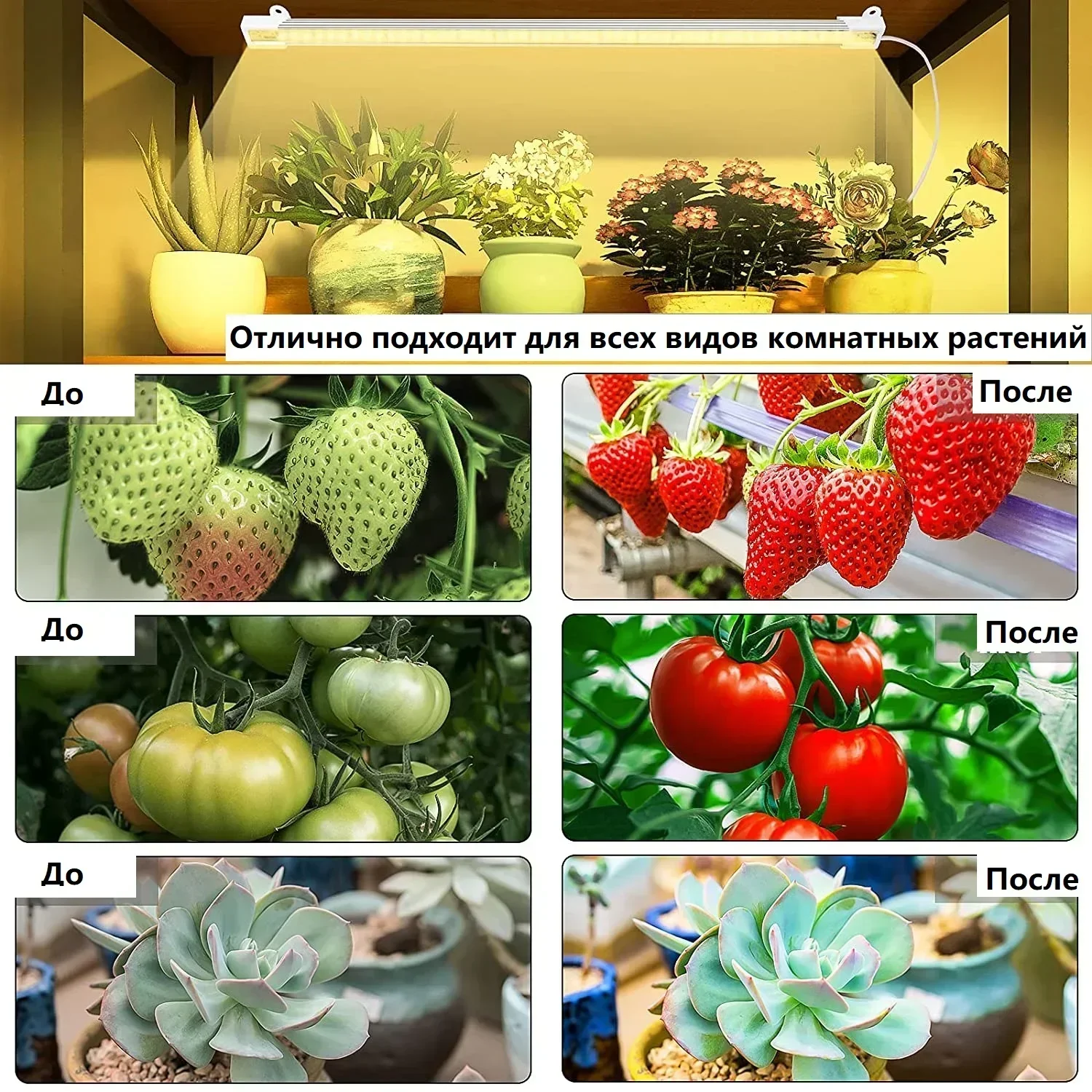 LED Plant Grow Light Strips Full Spectrum for Indoor Plants with Auto ON/Off Timer,Sunlike Grow Lamp for Hydroponics Succulent
LED Plant Grow Light Strips Full Spectrum for Indoor Plants with Auto ON/Off Timer,Sunlike Grow Lamp for Hydroponics Succulent