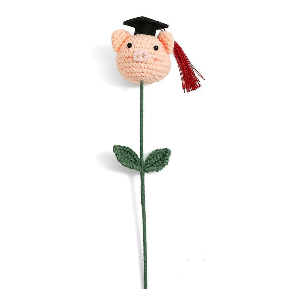 Doctoral Hats Graduation Knitted Flower Artificial Woven Knitted Flower Graduation Flower Bouquet Crochet Design Fake DIY
Doctoral Hats Graduation Knitted Flower Artificial Woven Knitted Flower Graduation Flower Bouquet Crochet Design Fake DIY