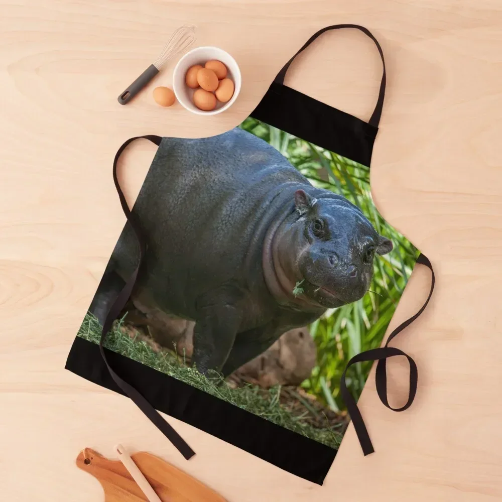 Baby Hippo Lunch II Apron Kitchen Utensils Professional Barber useful gadgets for home Apron
Baby Hippo Lunch II Apron Kitchen Utensils Professional Barber useful gadgets for home Apron