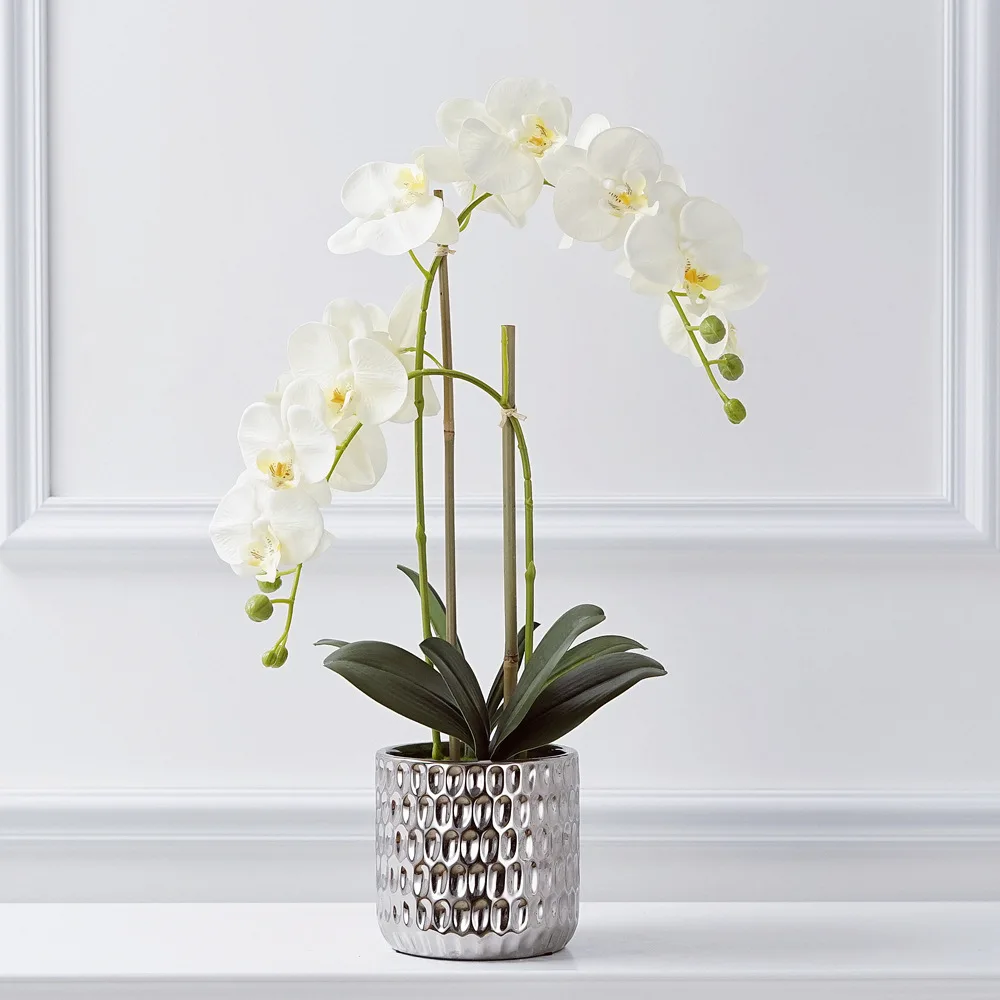52cm Silk Cloth Phalaenopsis Artificial Flower Silver Potted Fake Flower Suit Living Room Hallway Decoration Flower Light Luxury
52cm Silk Cloth Phalaenopsis Artificial Flower Silver Potted Fake Flower Suit Living Room Hallway Decoration Flower Light Luxury