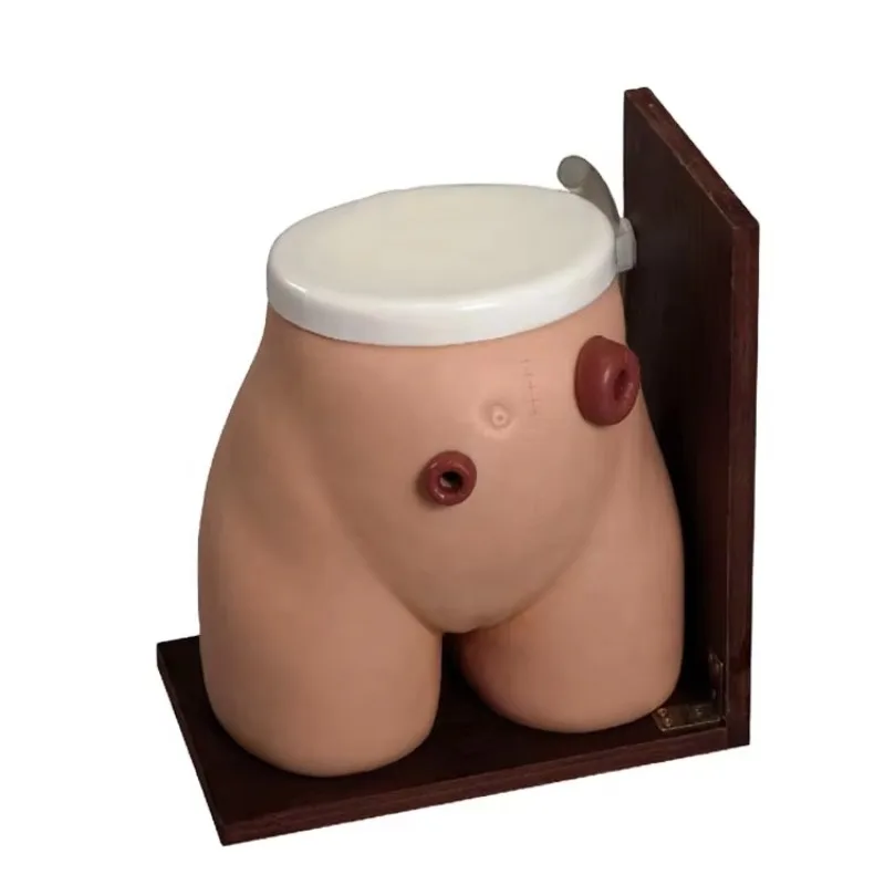 unique Ostomy Nursing Model,Ileostomy and Colostomy Training Simulator