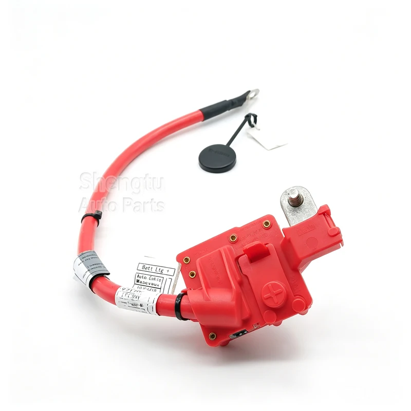 Positive Battery Terminal Cable for BMW X5 E70 X6 E71 E72 61129217004 61129115449
Positive Battery Terminal Cable for BMW X5 E70 X6 E71 E72 61129217004 61129115449