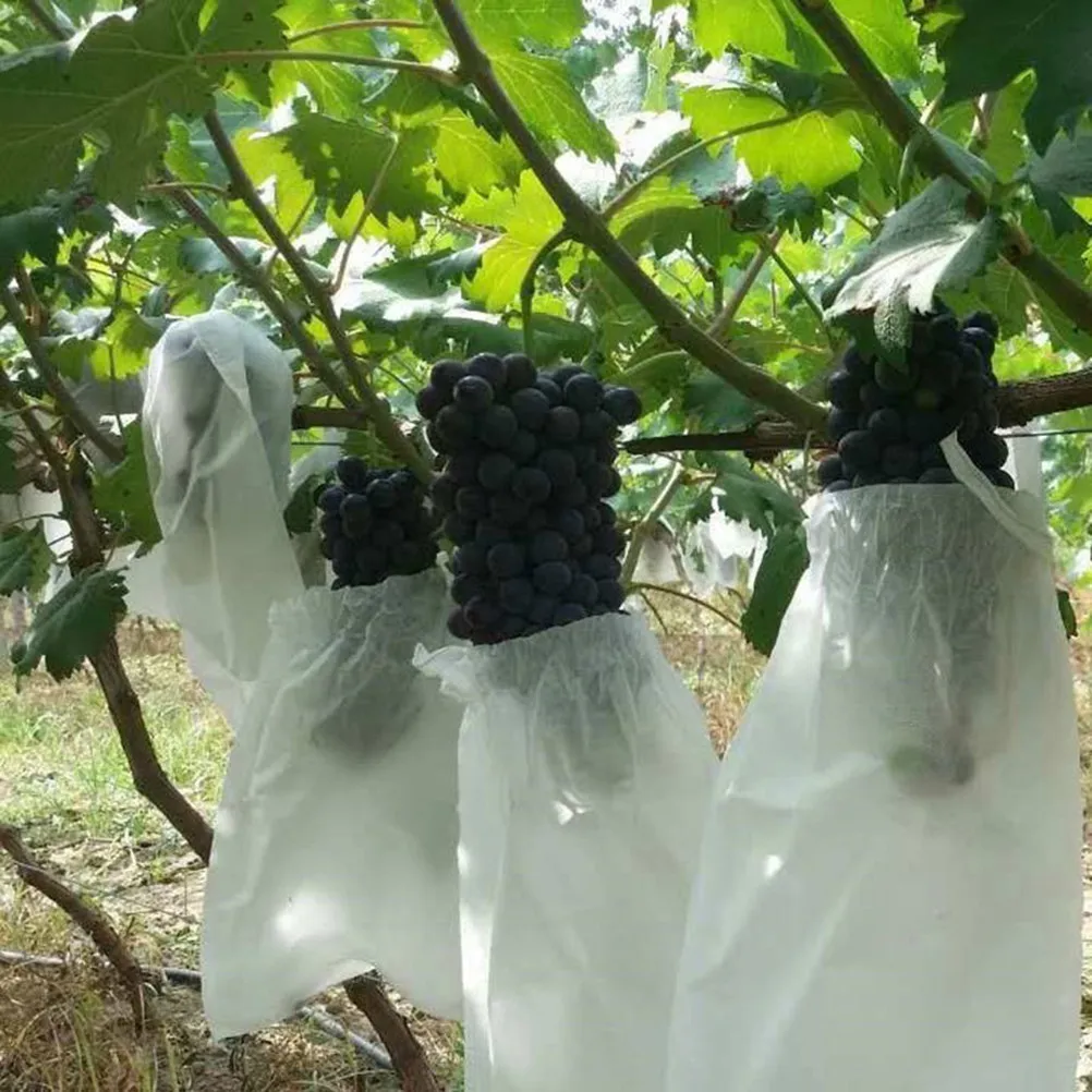 100Pcs Fruit Protection Bags Reusable Breathable Large Size for Oranges Guavas Pest Control Anti-Bird Insect Resistant
100Pcs Fruit Protection Bags Reusable Breathable Large Size for Oranges Guavas Pest Control Anti-Bird Insect Resistant