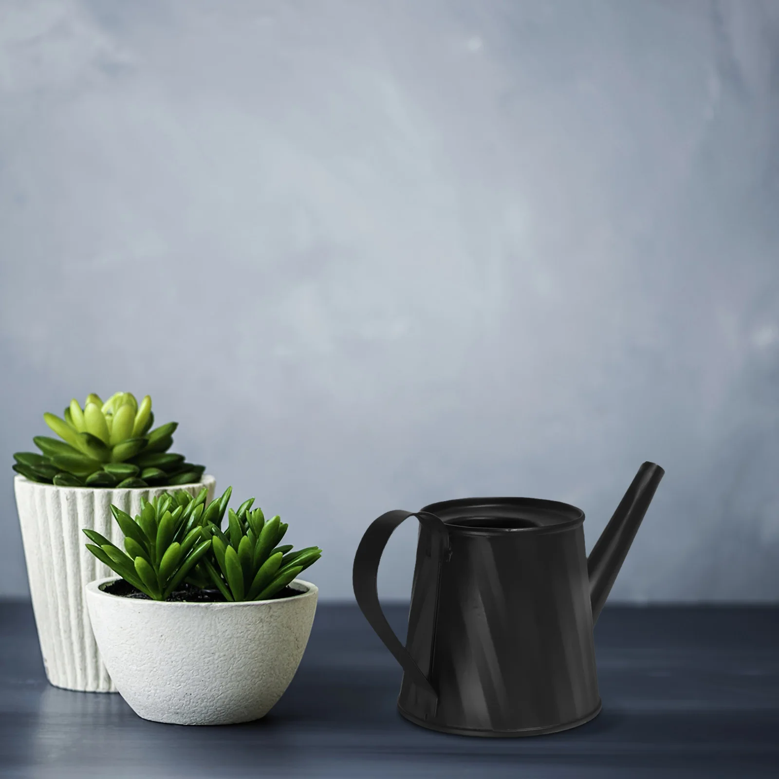 Mini Watering Can for Indoor Plants Metal Small Garden Jug Comfortable Handle Succulent Bonsai Pot Decor Watering Tin
Mini Watering Can for Indoor Plants Metal Small Garden Jug Comfortable Handle Succulent Bonsai Pot Decor Watering Tin