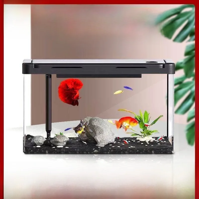 Ultra White Acrylic Fish Tank for Living Room Balcony Small Medium Size Landscaping Betta Fish Goldfish Turtle Tank Eco Grass...
Ultra White Acrylic Fish Tank for Living Room Balcony Small Medium Size Landscaping Betta Fish Goldfish Turtle Tank Eco Grass...