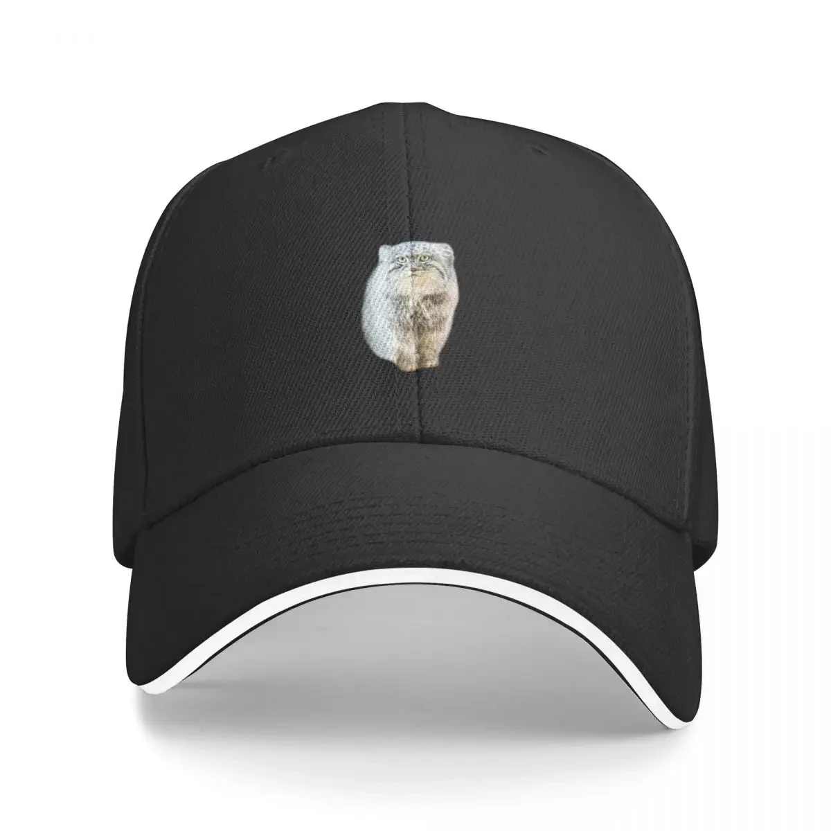 Pallas Cat Cute and Round Baseball Cap New Hat birthday Uv Protection Solar Hat For Girls Men's
Pallas Cat Cute and Round Baseball Cap New Hat birthday Uv Protection Solar Hat For Girls Men's