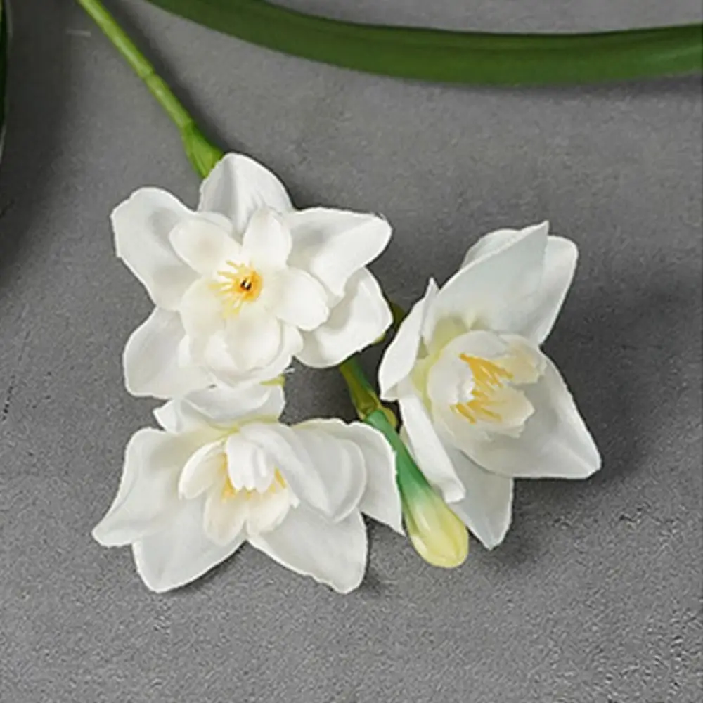 Real Touch Artificial Narcissus Flowers Lifelike Bridal Bouquet Fake Daffodil Flower Silk Flowers Party Supplies
Real Touch Artificial Narcissus Flowers Lifelike Bridal Bouquet Fake Daffodil Flower Silk Flowers Party Supplies