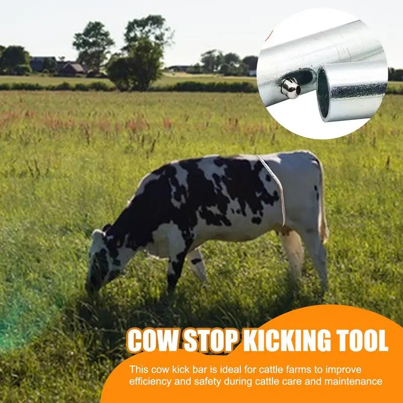 Anti-Kick Rod For Cow Adjustable Steel Stop Kicking Rod For Cattle Retractable Farm Cow Supplies Stick For Father Boyfriend
Anti-Kick Rod For Cow Adjustable Steel Stop Kicking Rod For Cattle Retractable Farm Cow Supplies Stick For Father Boyfriend