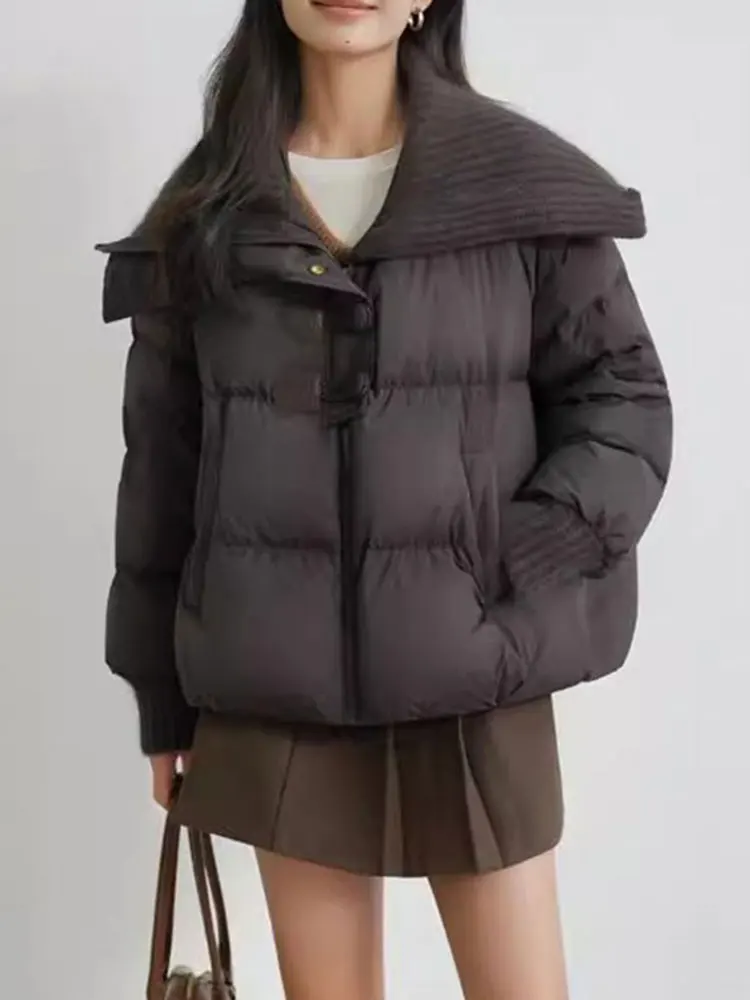 Зимняя утепленная хлопковая куртка-пуховик для женщин с большим воротником, коричневая, в корейском стиле, теплая верхняя одежда
Зимняя утепленная хлопковая куртка-пуховик для женщин с большим воротником, коричневая, в корейском стиле, теплая верхняя одежда