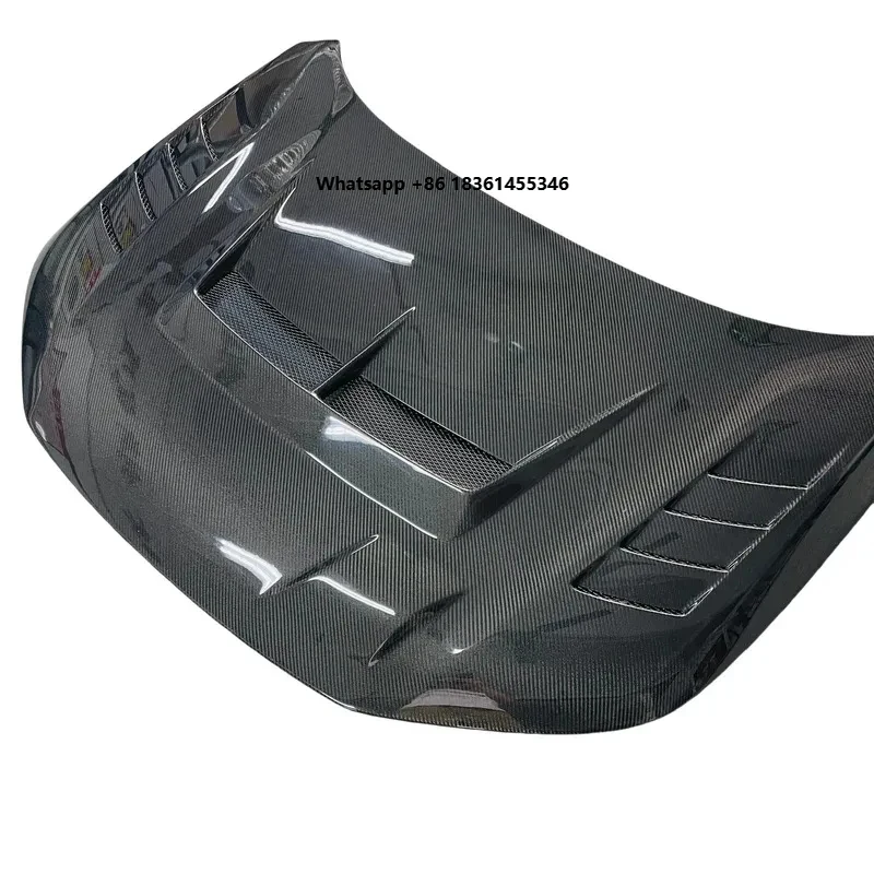 Premium Dry Carbon Fiber Bonnet FL5 Type R JS Racing Style
Premium Dry Carbon Fiber Bonnet FL5 Type R JS Racing Style