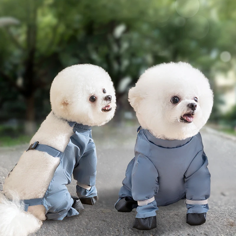 Solid Color Waterproof Pet Dust Pants with Antiskid Boots Breathable Adjustable Outdoor Pet Suspender Pants Dog Supplies
Solid Color Waterproof Pet Dust Pants with Antiskid Boots Breathable Adjustable Outdoor Pet Suspender Pants Dog Supplies