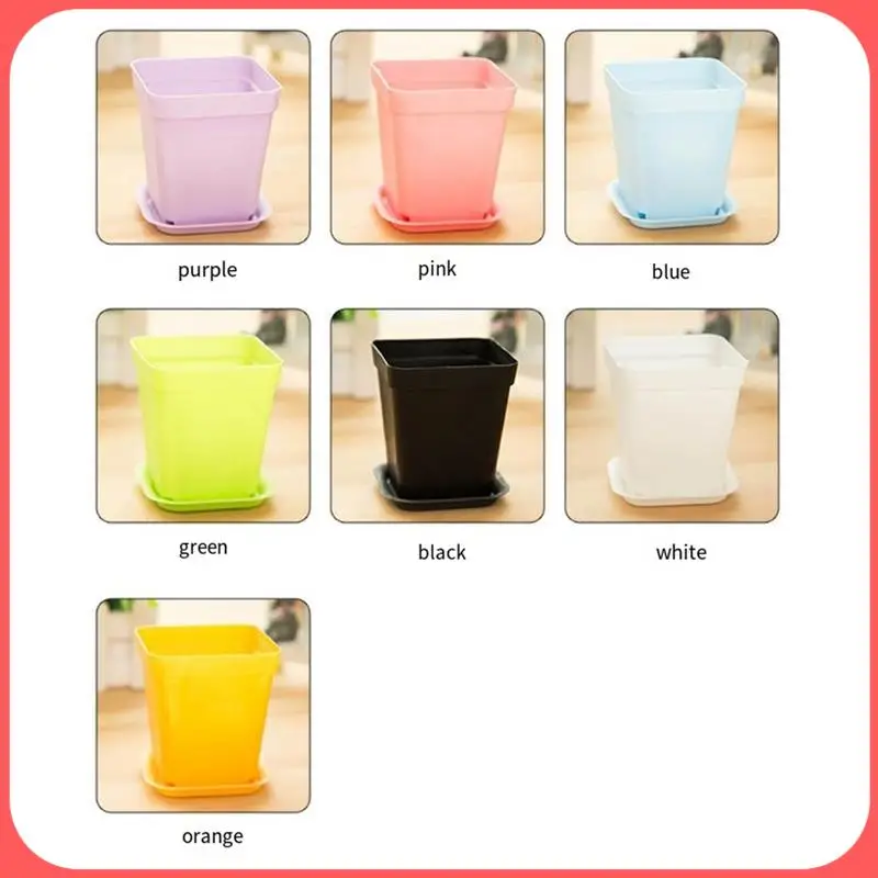 AA89-Mini Colorful Flower Pots, Plastic Flower Pots, Succulent Flower Pots (Random Colors)
AA89-Mini Colorful Flower Pots, Plastic Flower Pots, Succulent Flower Pots (Random Colors)