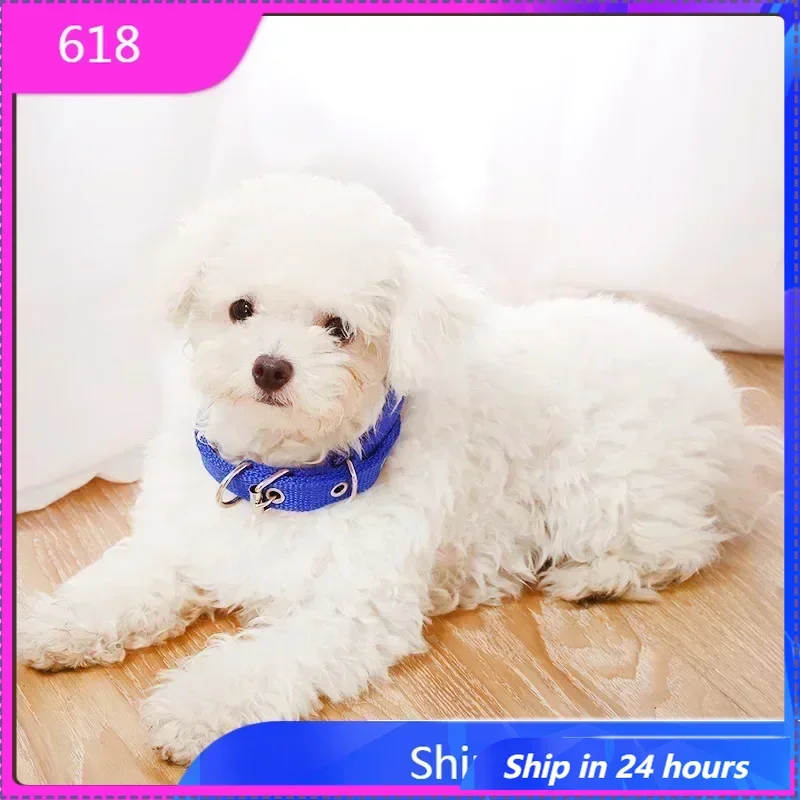 Adjustable Nylon Pet Dog Collar for Small Large Dogs Sturdy Puppy Big Dog Collars Pitbull Pug Products for Pets Honden Halsband
Adjustable Nylon Pet Dog Collar for Small Large Dogs Sturdy Puppy Big Dog Collars Pitbull Pug Products for Pets Honden Halsband